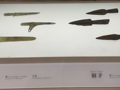 -信阳博物馆