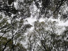 -重庆工商大学(南岸校区)