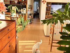 -住范儿家装·整体家装·装修设计