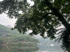 -重庆彩云湖湿地公园