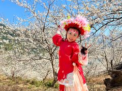 -广州市流溪河国家森林公园