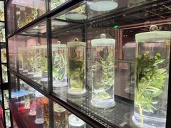 -广东中医药博物馆