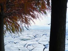-捞渔河湿地公园