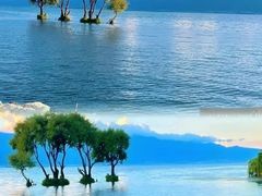 -大理洱海