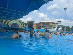 -杭州浪浪浪水公园