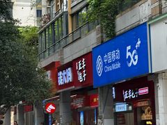 -大龙山(地铁站)