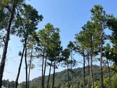 -柯岩风景区