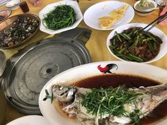 -水上鱼当家