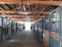 -北京群众马术培训基地