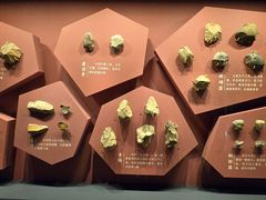 -广西壮族自治区博物馆