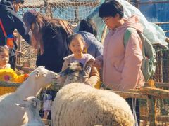 -瑞思少儿中心·少儿英语素养启蒙(勒泰直营校区)