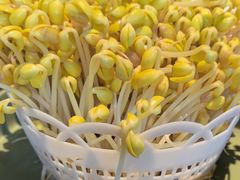 -巴倒烫陆派火锅山庄(南山总店)