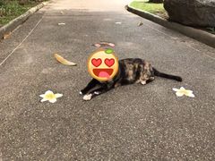 -查龙寺