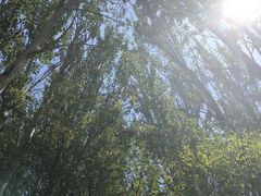 -艾提尕尔清真寺