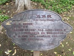 -二一九公园