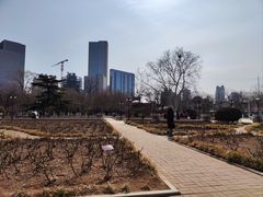 -睦南公园