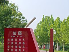 -武清南湖绿博园