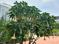 -国家植物园南园