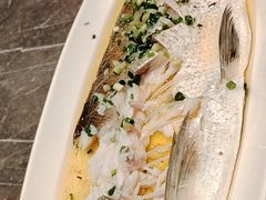 -同庆楼(滨湖万达广场店)