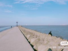 -上海吴淞炮台湾国家湿地公园