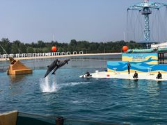 -秦皇岛乐岛海洋王国