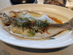 白鱼-相思林金岛饭店(青山湖店)