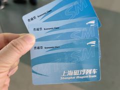 -龙阳路磁悬浮列车总站-停车场