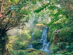 -Chom Cafe and Restaurant