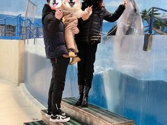 -泉城欧乐堡海洋极地世界