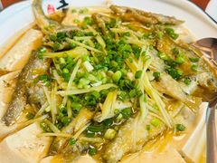 -杨记新泉美食