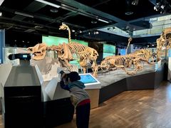 -墨尔本博物馆(Melbourne Museum)