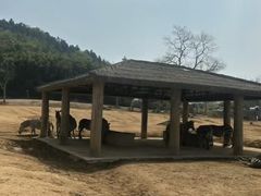 -杭州野生动物世界