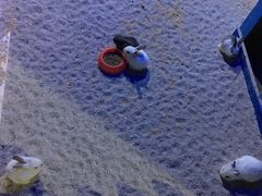 -常州海昌海洋探索馆