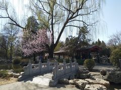 -宣武艺园