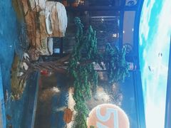 等位区-57度湘(王府井10F店)