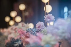 -艾米婚纱&婚礼策划