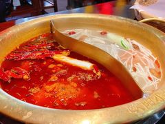 -欧阳小姐在成都(爱琴海店)