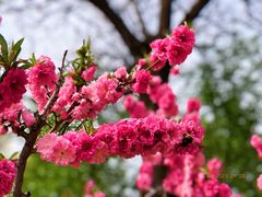 -朝阳公园