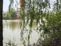 -洨河生态公园