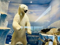 -国家自然博物馆