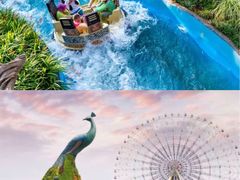 -七彩云南欢乐世界