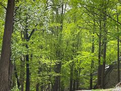 -阳台山自然风景区