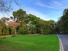 -墨尔本皇家植物园