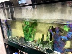 -苏记溪河鲢鱼庄(天府新区店)