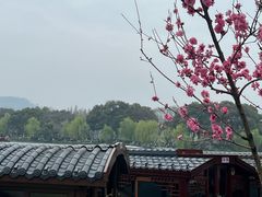 -西湖游船