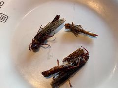 -川骄海鲜自助(亚运村店)