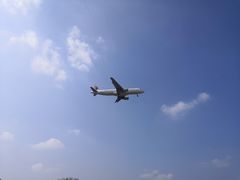 -空港花田景区