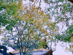 -灵岩山风景区