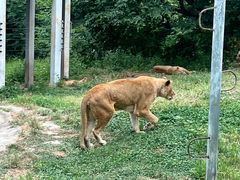 -西安秦岭野生动物园