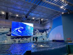 -福州罗源湾海洋世界旅游区